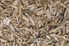 biomass boilers Hurlet